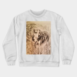 Beagle Dog Crewneck Sweatshirt